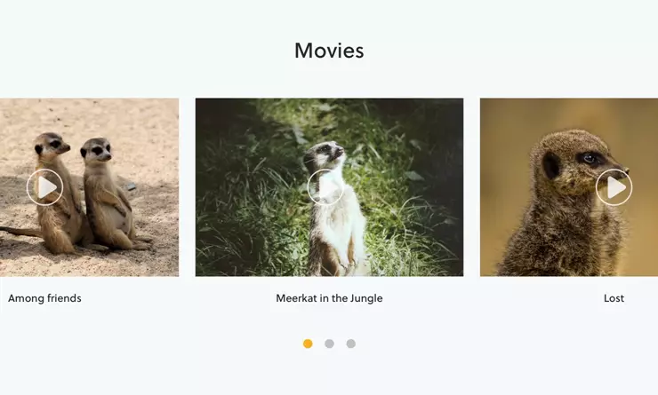 Blog video carousel